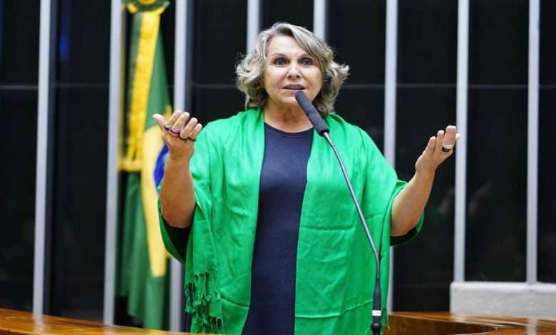 Deputada Erika Kokay Foto,Câmara Dos Deputados,Pablo Valadares