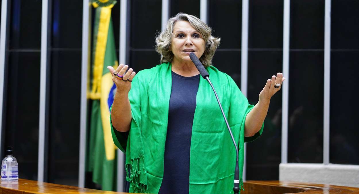 Deputada Erika Kokay Foto,Câmara Dos Deputados,Pablo Valadares