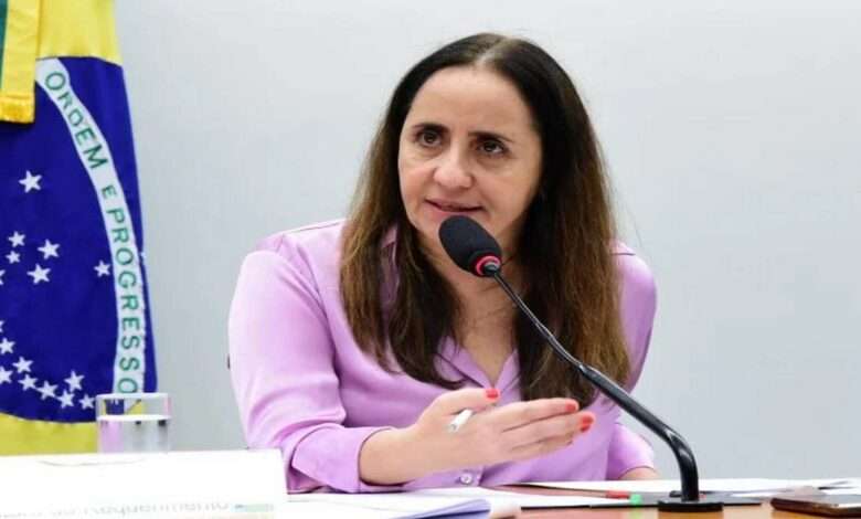 Deputada Federal Adriana Ventura (Novo SP) Critica O Projeto Da Censura