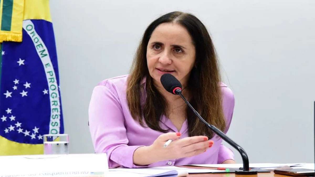 Deputada Federal Adriana Ventura (Novo SP) Critica O Projeto Da Censura