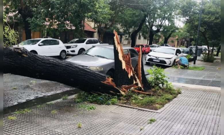 Chuva Que Castigou Buenos Aires Pode Chegar Ao Brasil
