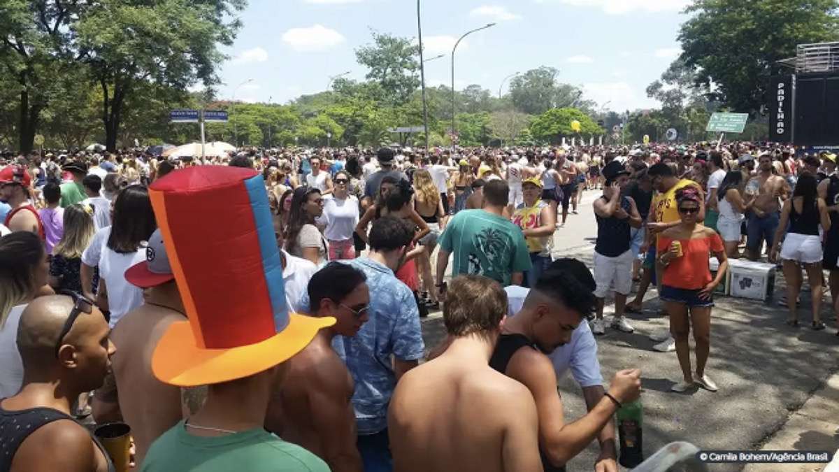 Carnaval De Rua Em SP