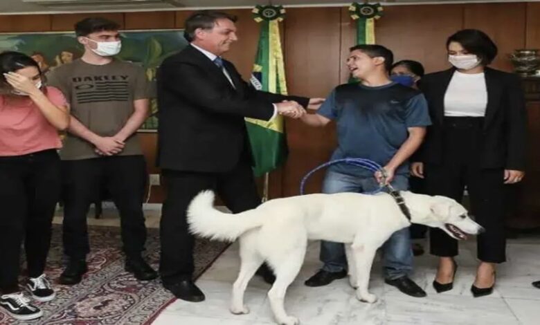 Bolsonaro Fez Cerimônia Para Devolver Cachorro Augusto