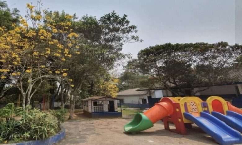 Menina De 6 Anos Morre Durante Atividade Física Em Escola Municipal De SP